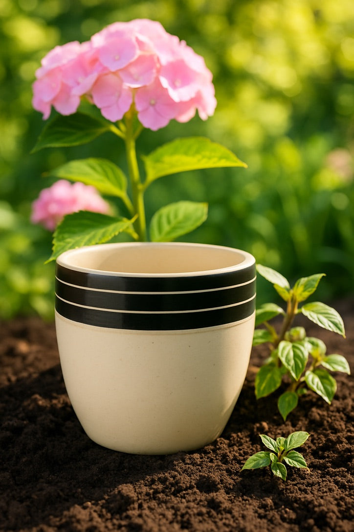 Ivory & Black Stripe Ceramic Planter | CeramicVista