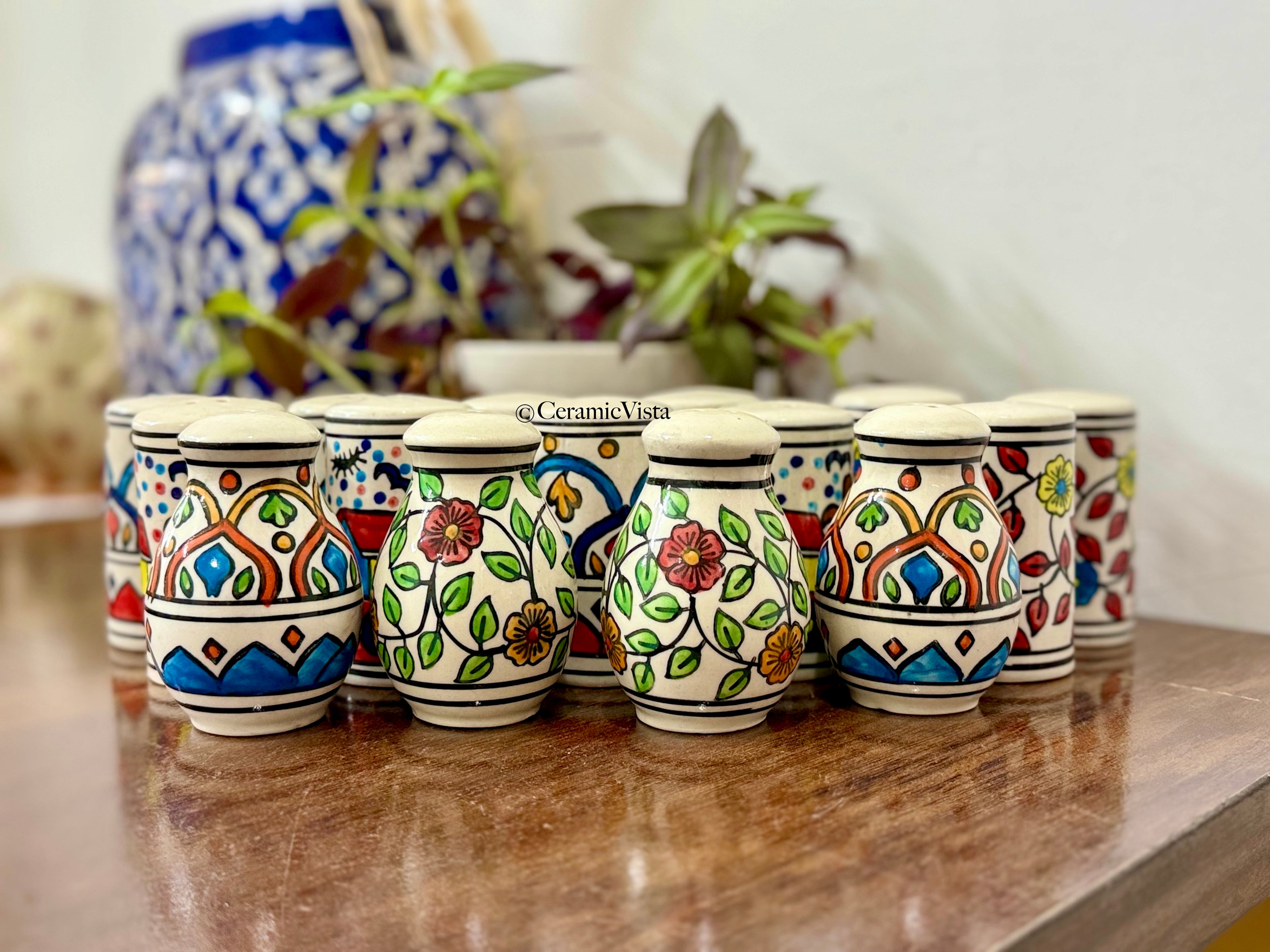 Hand-Painted Mini Ceramic Salt & Spice Shakers | Multicolour Traditional Patterned Salters| Organise your table with these cuties | CeramicVista