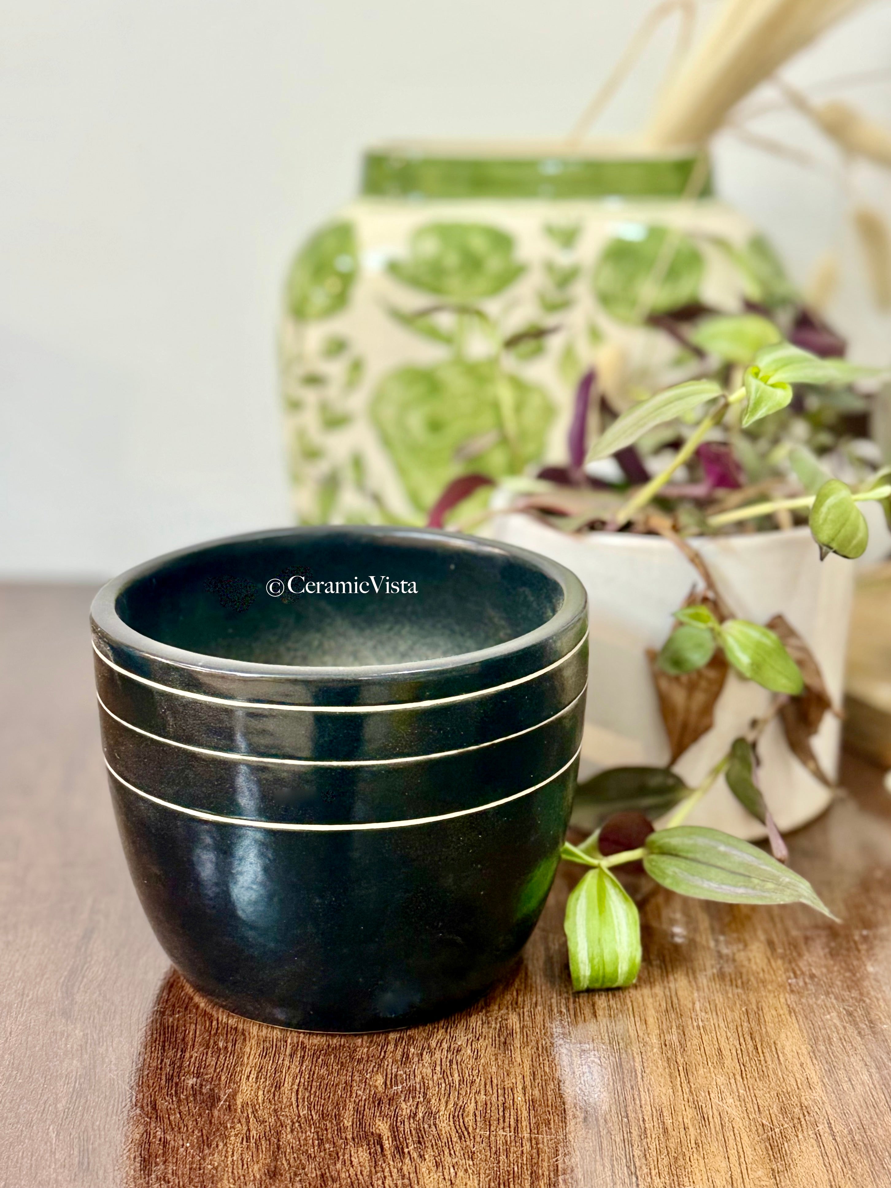 Matte Black Gold-Lined Ceramic Planter | CeramicVista