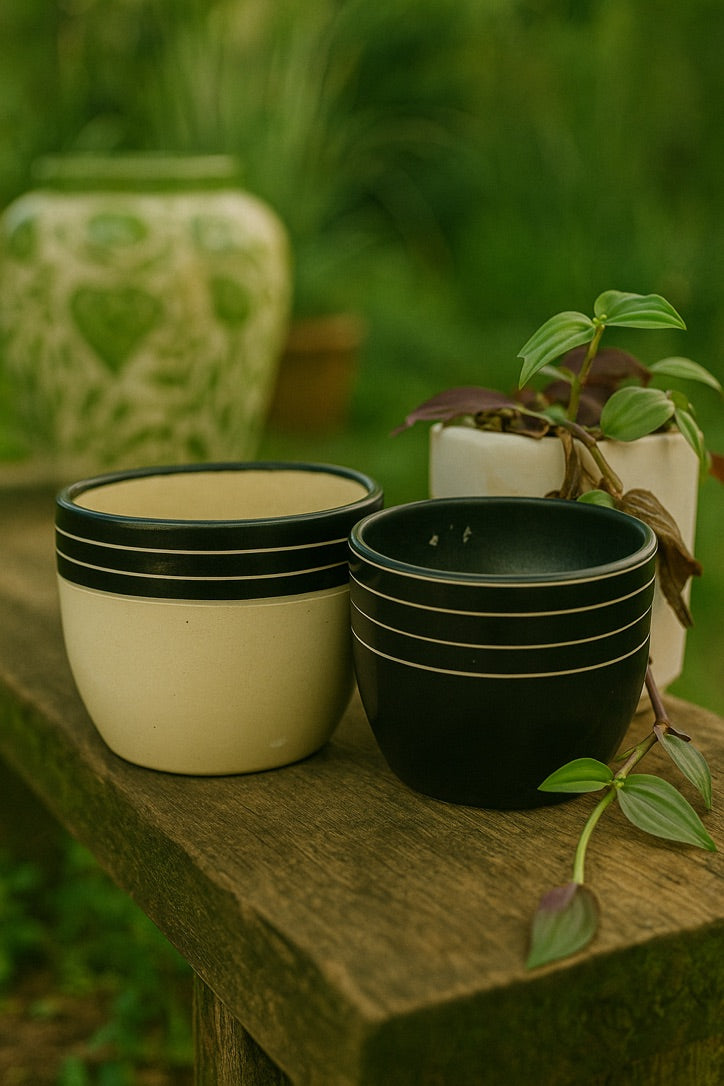 Black & Ivory Minimal Line Planter Duo | CeramicVista